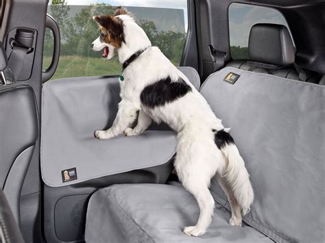 Door Protector for Cars, Trucks, SUVs & Minivans | WeatherTech