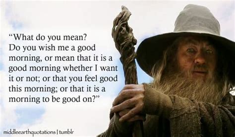 gandalf good morning | Funny good morning memes, Funny good morning quotes, Good morning funny