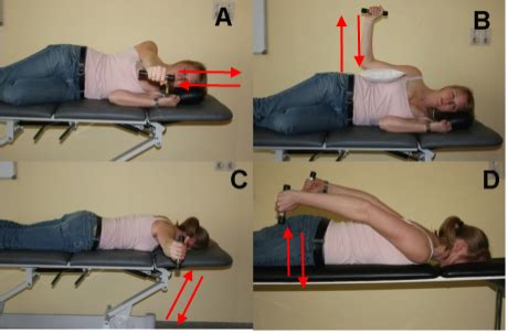 The Best Scapular Muscle Exercises to Prevent & Treat Shoulder Pain | Exercise Biology