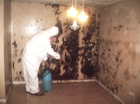 Mold Remediation in Towson- 443-961-2725