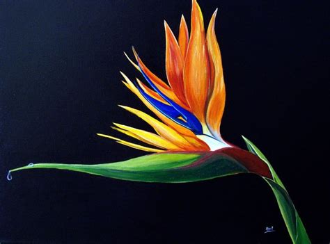 Strelitzia - Bird Of Paradise (2015) Acrylic painting by Aarti Bartake ...