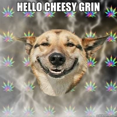 HELLO CHEESY GRIN - Stoner Dog - quickmeme