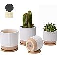 Amazon.com : TAMAYKIM 5.25 + 4 Inch Ceramic Plant Pots Set with Bamboo Saucers & Drainage ...