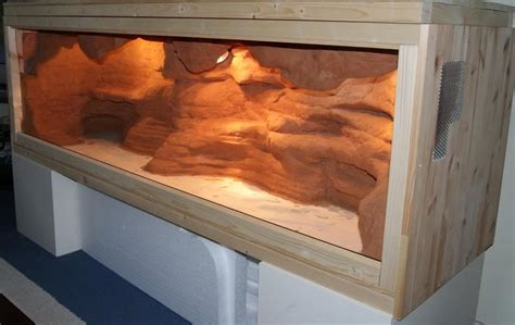 Cool Bearded Dragon Enclosure Decor Ideas References