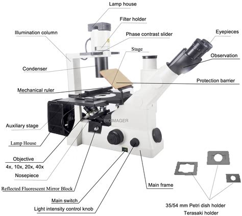 Inverted Fluorescence | Bioimager