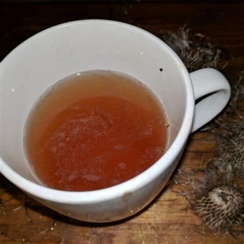 How to Make Milk Thistle Tea – And Why You Should