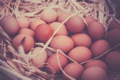 Farmers Market Eggs Royalty Free Stock Image - Image: 31546526