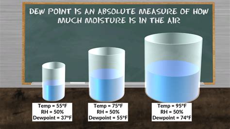 Weather 101: Dew Point