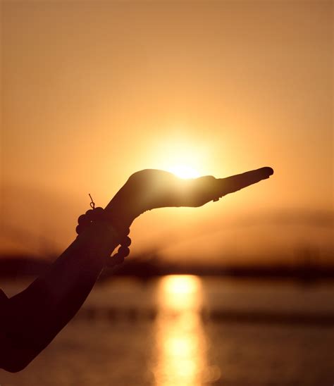 Fotos gratis : mano, silueta, ligero, amanecer, puesta de sol, luz de sol, Mañana, dedo ...
