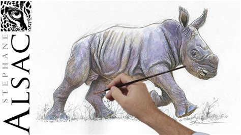 Realistic Baby Rhino Drawing - Deiafa Ganello