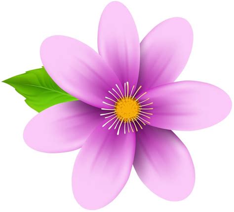 Pink Flower Clip Art Image | High-Quality and Transparent