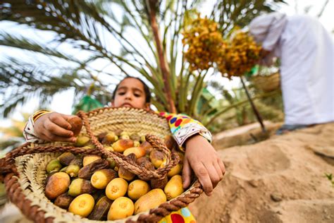 Gallery: Explore UAE's culture and heritage at Liwa Date Festival in Al ...