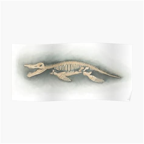 "kronosaurus skeleton" Poster by MiloCole | Redbubble