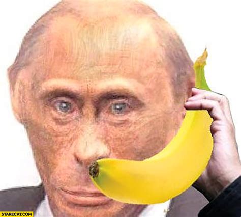 Putin monkey primitive man calling with a banana | StareCat.com