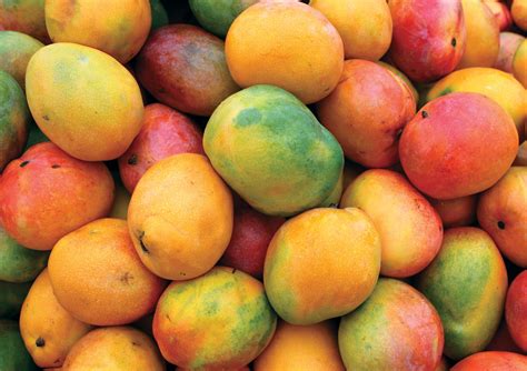 Mango - Cuántas calorías tiene el mango en miel - Cuantas Calorias, Dresses, coats, jackets ...