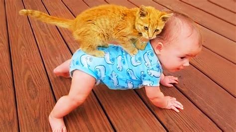 Funniest Baby And Cat Are Best Friends #2 - Cute Babies and Cats Videos ...