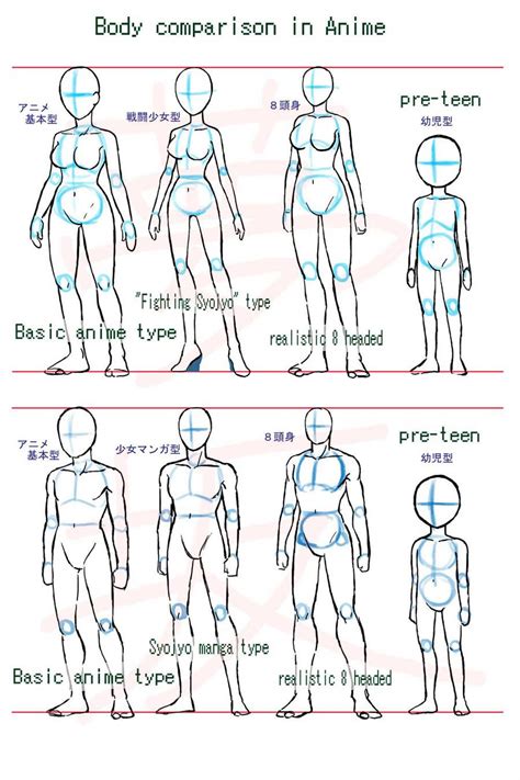 Anime body style comparison by Yumezaka on DeviantArt | Drawing anime ...