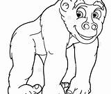 Silverback Gorilla Coloring Pages At GetColoringscom  Free Printable sketch template