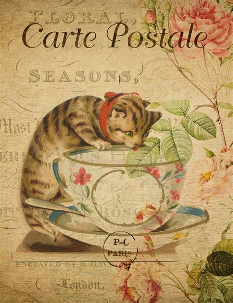 Cat Vintage French Postcard Free Stock Photo - Public Domain Pictures