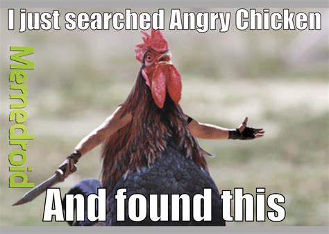Angry Chicken - Meme by Dopic :) Memedroid