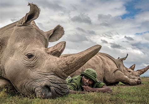 50 Famous Wildlife Photographers to Follow in 2024