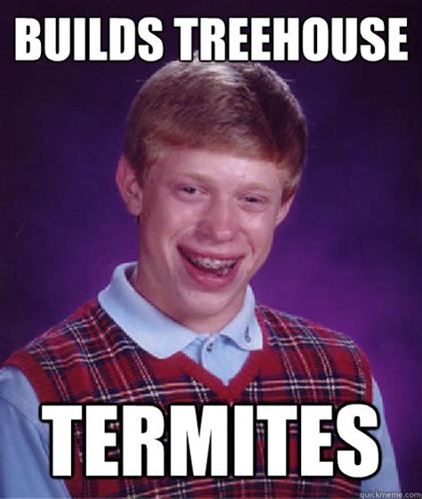 builds treehouse termites - Bad Luck Brian - quickmeme