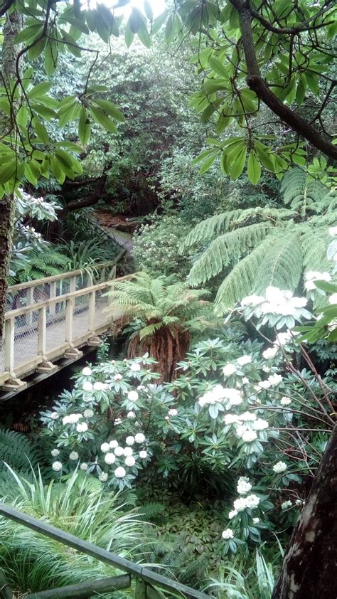 Spring in Dunedin Botanic Garden | Dunedin, Local tour guides, New zealand