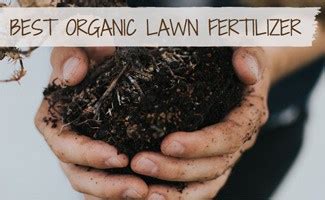 Best Organic Lawn & Garden Fertilizer (Plus How To Use It) - Earth's Friends