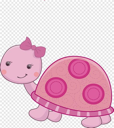 Sea turtle Infant, baby girl, mammal, child png | PNGEgg