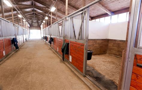 Flooring in Horse Stables | Stable Management