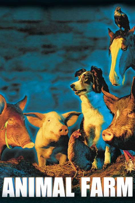 Animal Farm - CineBase | Farm animals, Animals, Animal farm 1999