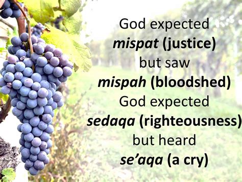 Danny Bradfield: Sermon: "Vineyard of Justice" (Isaiah 5:1-7)