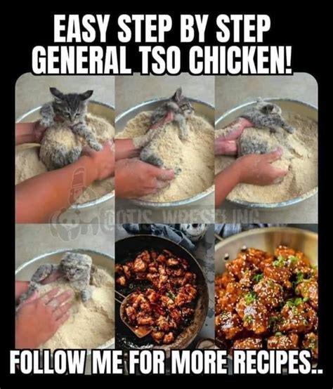 Pin by Steve Steadman on Funny | General tso chicken, Tso chicken, Chicken