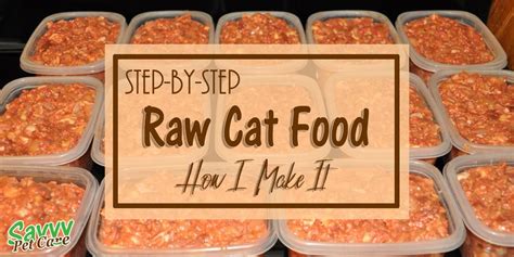 Raw Cat Food - How to make raw cat food - Savvy Pet Care | Raw cat food ...