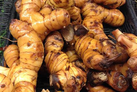 20 Science-Backed Health Benefits of Galangal Root - How To Ripe