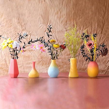 Amazon.com: Funecy Macaron Vase Set of 5,Small Colorful Vases for ...