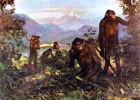 El homo erectus ya andaba como el hombre moderno hace 1,5 millones de años | La República EC