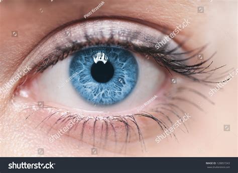 Human Eye Photos and Images | Shutterstock