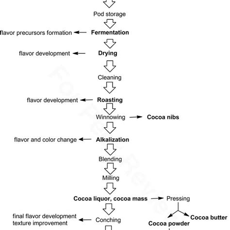 The processing of cocoa beans. | Download Scientific Diagram