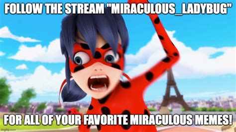 Miraculous_Ladybug Stream! - Imgflip