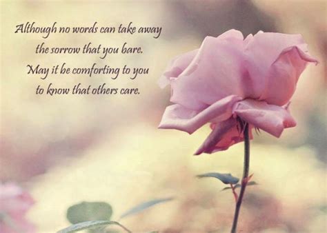 Pin by Diana Santiago on Sympathy Wishes in 2020 | Condolences quotes, Sympathy messages ...