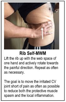 Ribs don't sublux. Ribs don’t "go out". …so what’s going on? - Physical Therapy Web