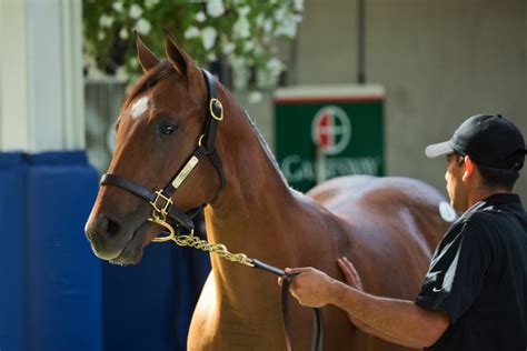 Gainesway Farm 2016