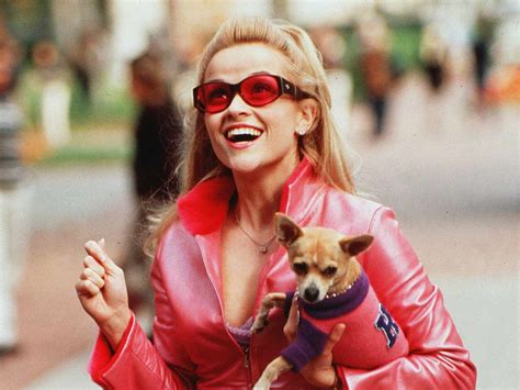 'Legally Blonde 3': Cast, Potential Plot and News