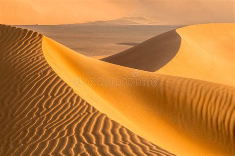 Deserts of Oman stock photo. Image of saudi, lizard - 183723388