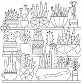 Best Succulent & Cactus Coloring Books Pages  Cleverpedia sketch template