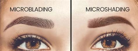 Microblading vs Microshading: Which One is Better For You? | Microblading, Microblading eyebrows ...