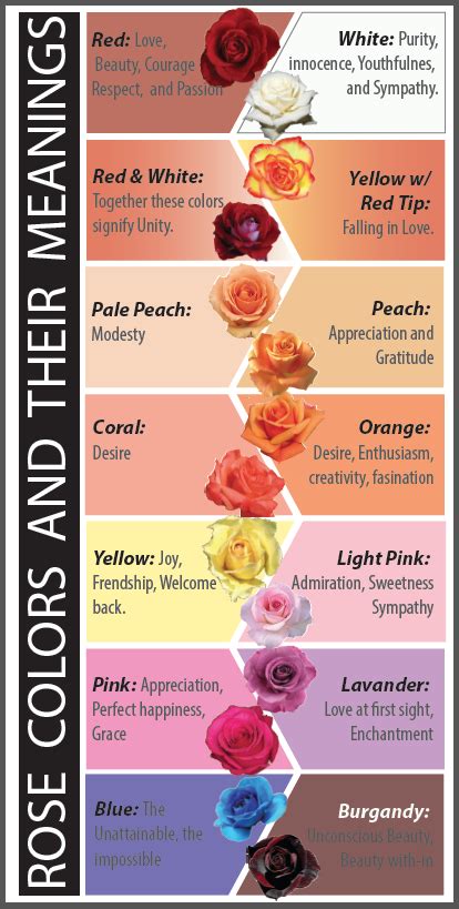 Rose Colors Meaning Chart