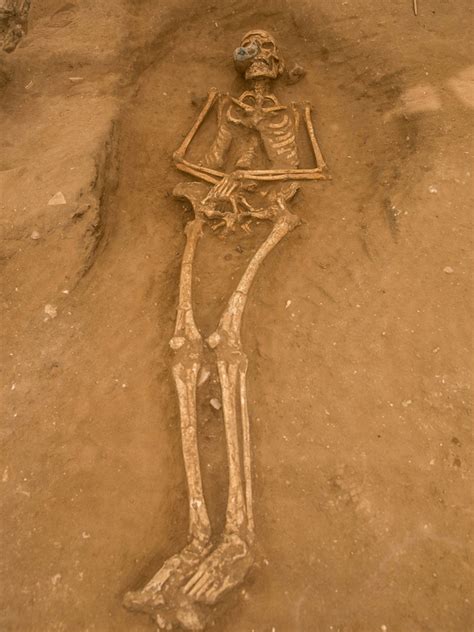 Nephilim Giant Skeletons