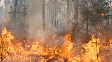 Alberta Wildfire - Alberta Announces Several Enforceable Actions To ...